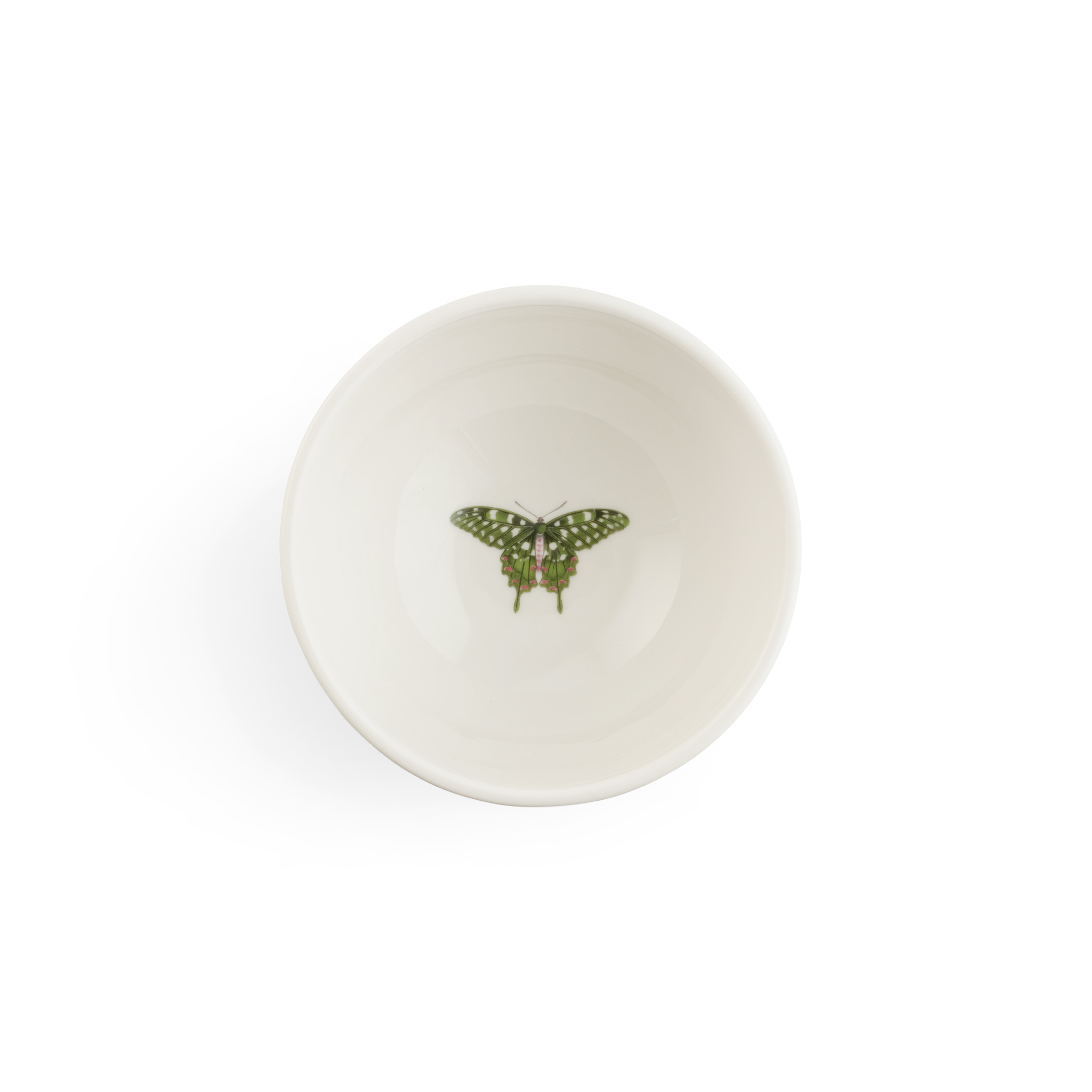 Botanic Garden Harmony Accents White 6 Inch Bowl image number null